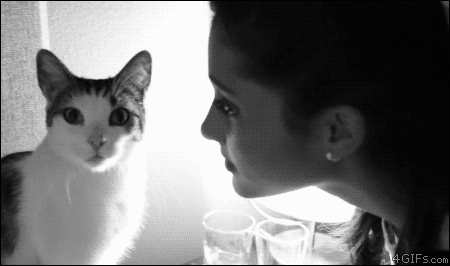 【おもしろ画像】かわいい猫のおもしろハプニング画像を集めてみましたｗｗｗ 21